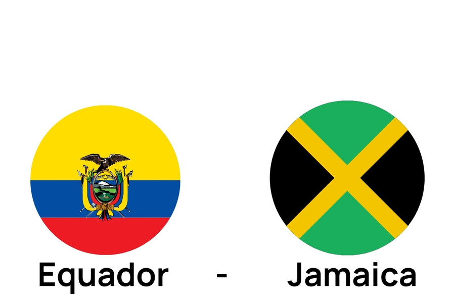 the flags of the country of jamaica and jamaica