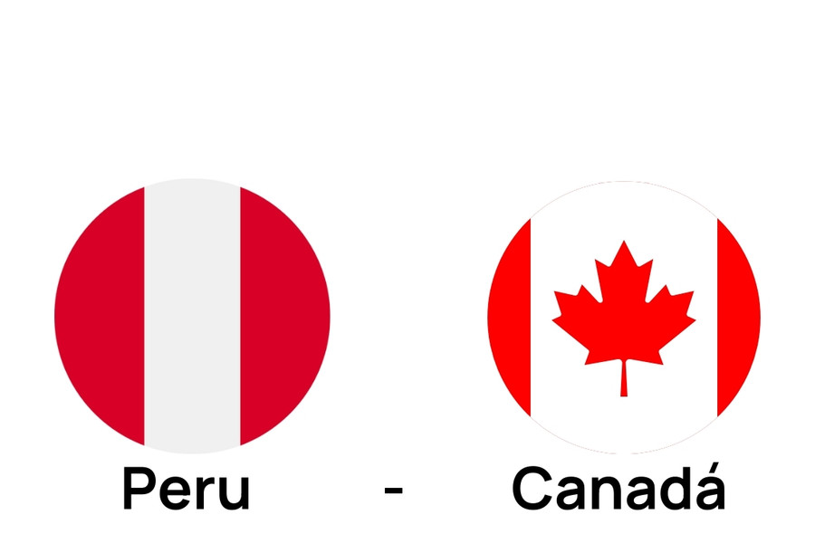 a canadian flag and a canadian flag on a white background