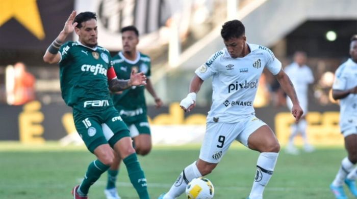 Jogadores do Palmeiras e do Santos.