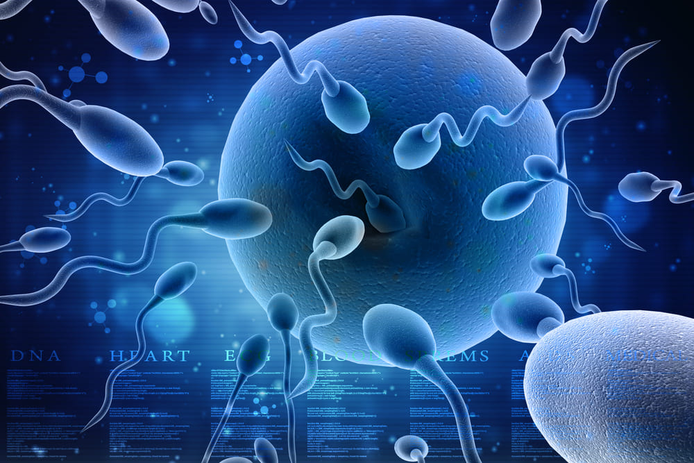 A 3D illustration of sperms reaching the egg in blue tones
