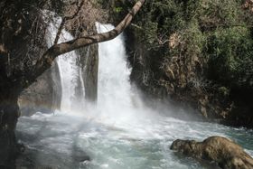 Banias Waterfall: What You Need to Know Before Visiting Israel's Largest Waterfall