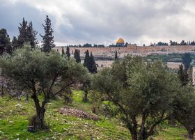 Biblical Significance of Jesus at the Mount of Olives