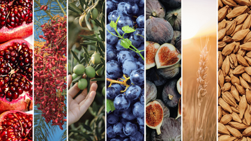 a bunch of different pictures of different fruits and vegetables