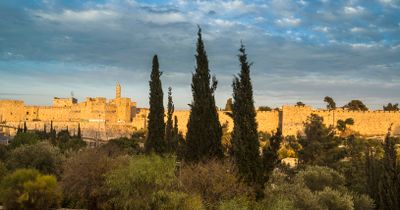 a view of a city with a castle in the background