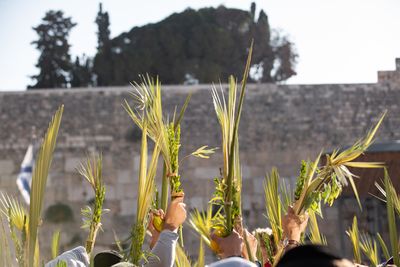 sukkot in Israel - the Western Wall