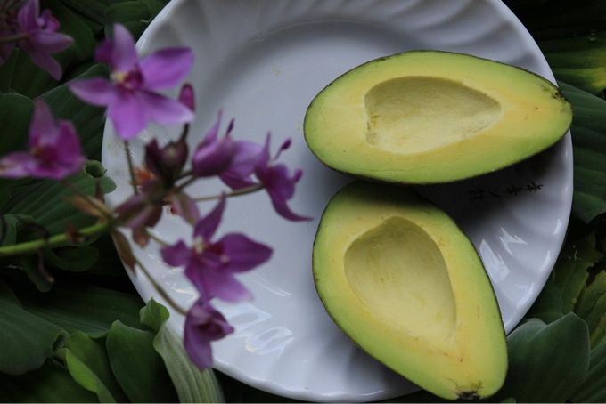 Two halves of an avocado.