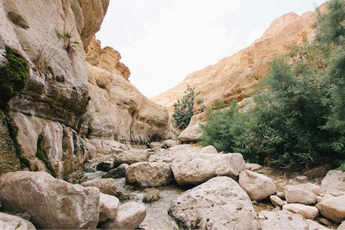 River flowing through rocks with trees on the bank.