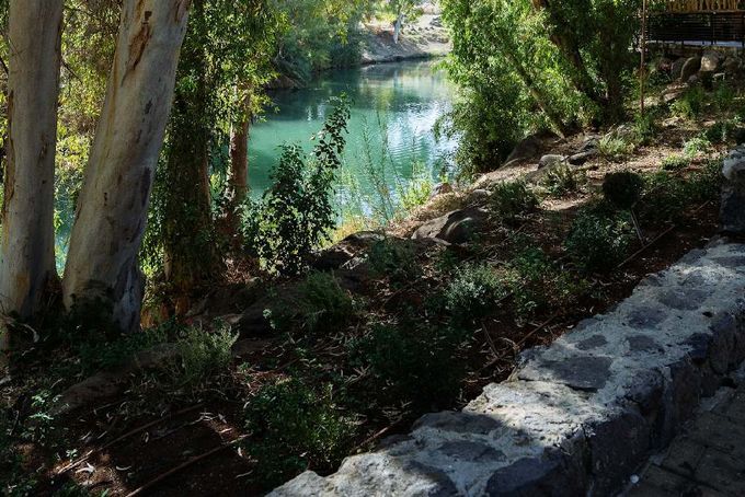 A river flowing through a lush green forest.