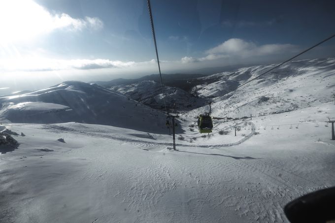 Mt Hermon