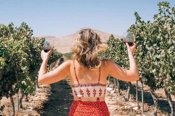 A woman standing in a vineyard.