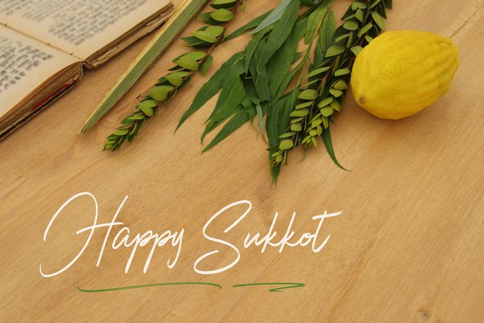 sukkot four species israel