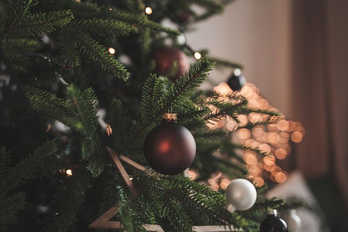 a close up of a christmas tree with ornaments