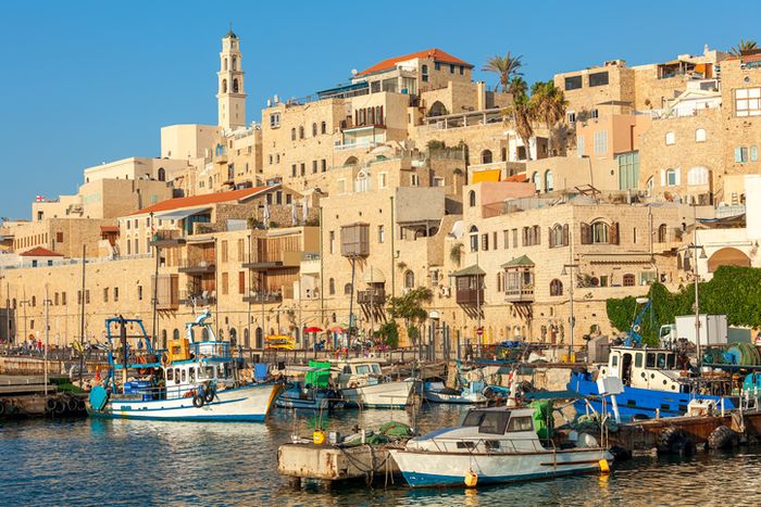 Jaffa port Israel Holy Land  harbor filled with lots of boats next to tall buildings