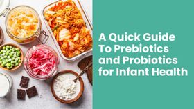A Quick Guide To Prebiotics and Probiotics for Infant Health