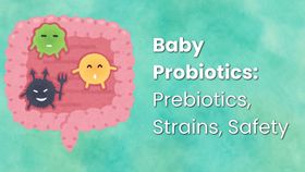 Baby Probiotics: Prebiotics, Strains, Safety
