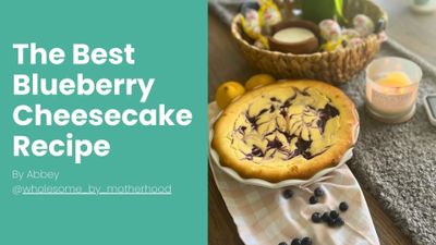 The Best Blueberry Cheesecake Recipe by Abbey