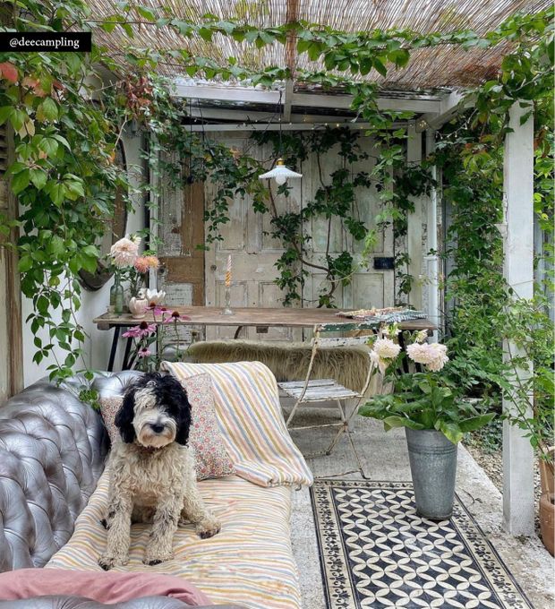A dog sitting on a couch next to a black and white patterned rug