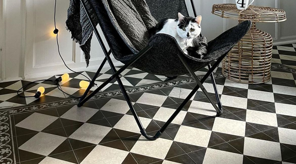 Black and white cat sitting on a black chair, on a black and white checkered rug