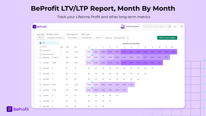 a screenshot of the beprofit it / it / itp report