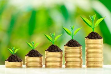 The Best Appreciating Assets to Invest In