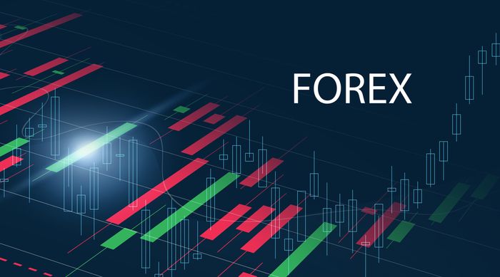 Forex Standard Account vs. Raw Spread: What’s the Difference? main image