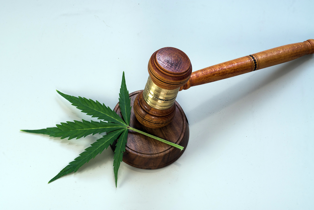 Judge's gavel next to CBD cannabis leaf