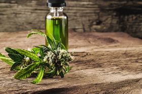 Can You Take CBD For Histamine Intolerance?