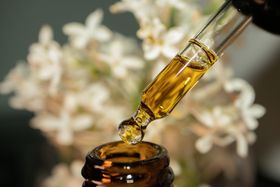 5 Best CBD Oils in the UK: Find Your Perfect Match
