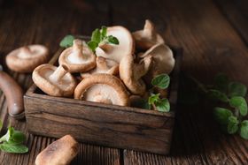 Benefits of Shiitake Mushroom for Your Immune System
