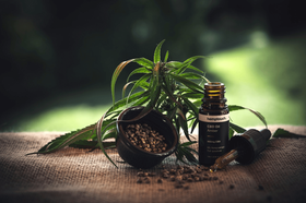 Is It Recommended to Use CBD Oil, Cream, Or Salve for Arthritis?