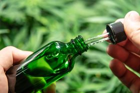 Taking CBD Oil Sublingually (Under the Tongue): Guide, Safety, and Benefits