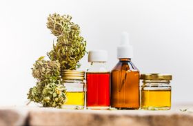 For Beginners: Which CBD Products and Doses May Help With OCD