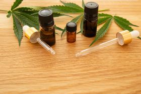 Taking CBD for Diabetes: What You Need to Know
