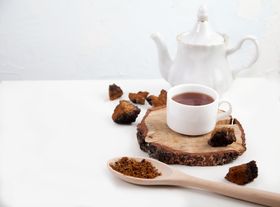 Chaga Tea: Benefits, Recipe, and Comparison to Other Chaga Products