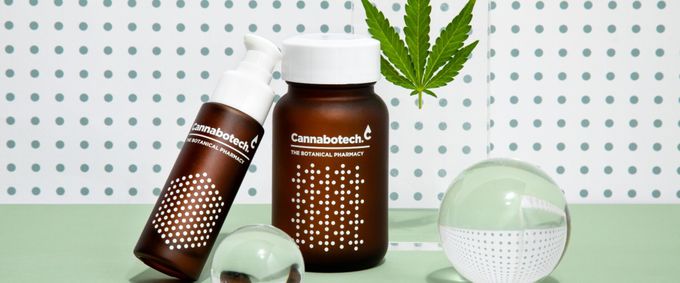 CBD Laws In The UK: What You Need To Know Before You Purchase CBD