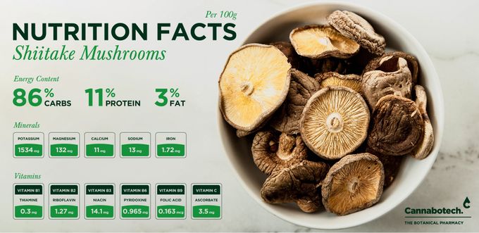 Shiitake Mushroom Benefits: How Can this Functional Food Support Our Health?