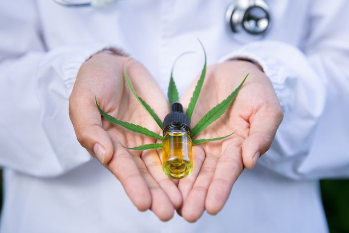 A doctor holding a bottle of organic CBD oil and a hemp leaf