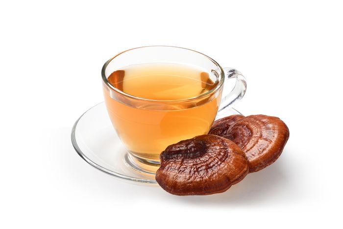 Reishi mushrooms on saucer next to glass cup of Reishi mushroom tea