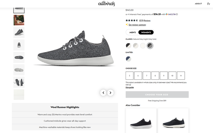 Screenshot of Allbird's shoe showing good product descriptions