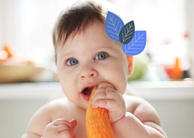A baby is chewing on a piece of carrot.