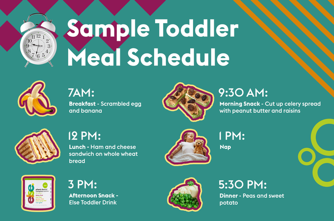 a flyer for a sample toddler meal schedule