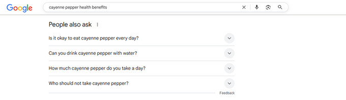 Screenshot of People Also Ask within Google SERP