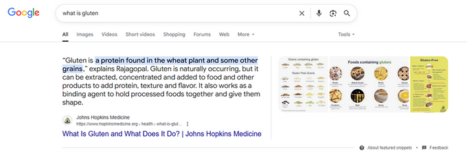 Screenshot of a featured snippet within Google SERP