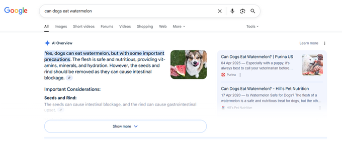 Screenshot of an AI overview within Google SERP