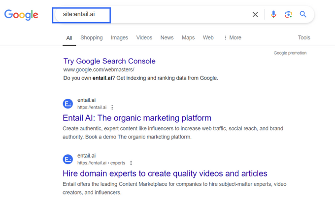 How to check if a page is indexed on Google Search