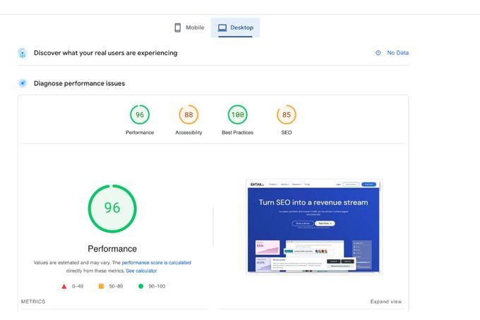 Screenshot of the Google's PageSpeed Insights showing a site's performance