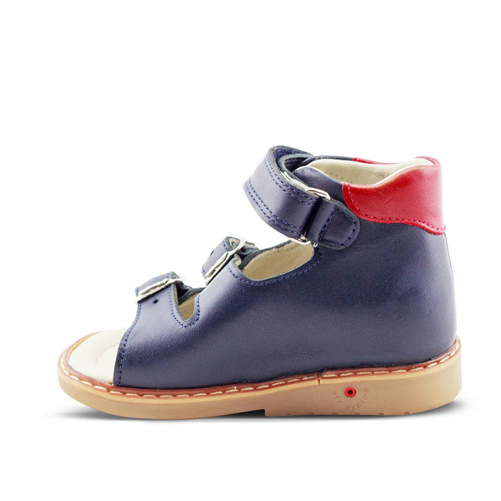 a blue and red shoe with a white sole