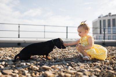 A little girl in a yellow dress petting a black dog on a gravel rooftop.
