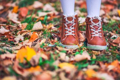 A pair of brown shoes standing on top of a pile of leaves.