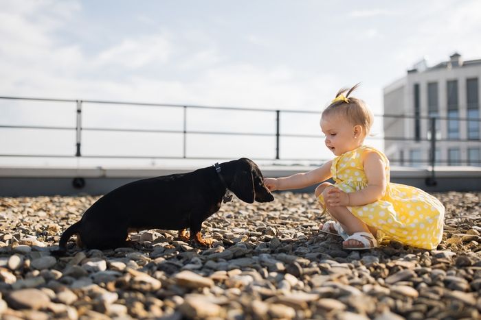 A little girl in a yellow dress petting a black dog on a gravel rooftop.